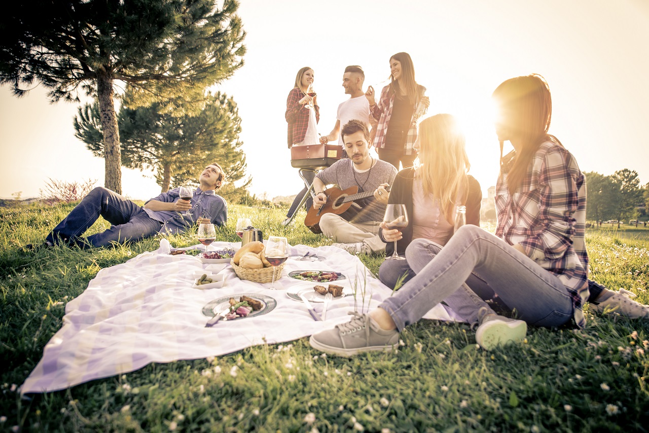 Group-of-friends-having-fun-while-eating-and-drinking-at-a-pic-nic-Happy-people-at-bbq-party
